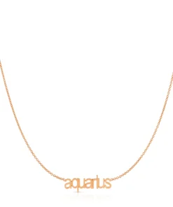 Petite Zodiac Necklace