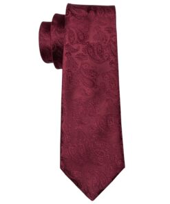 Solid Necktie Burgundy Paisley Silk Tie